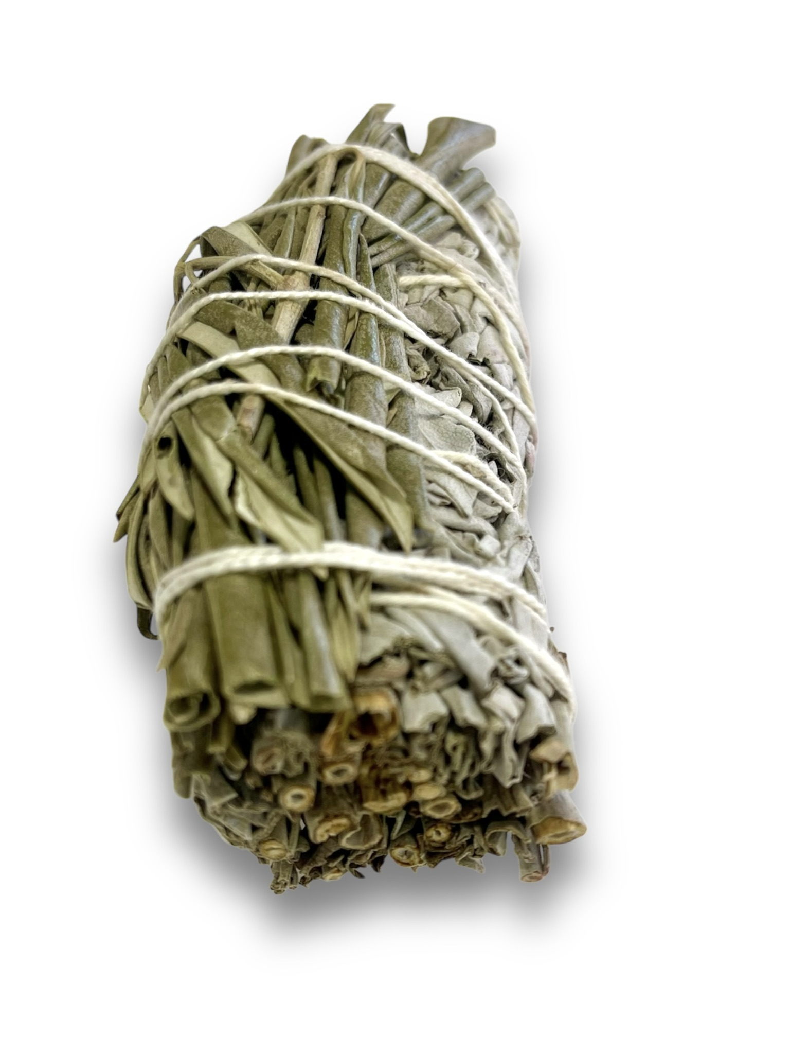 Salvia Blanca y Olivo - Imagen 2