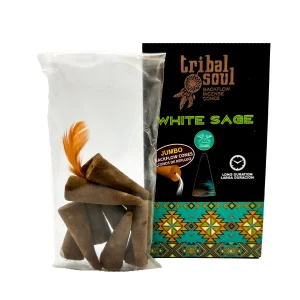 Conos de Reflujo de Salvia Blanca