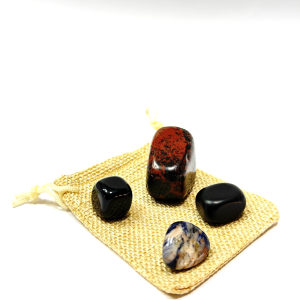 Kit para la Limpieza y la Protección